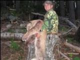 Cougar hunting laws in oregon