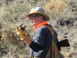 Best upland bird hunting in oregon