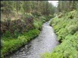 Metolius!