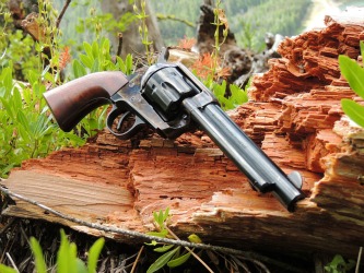 pietta 1873 optimized.jpg